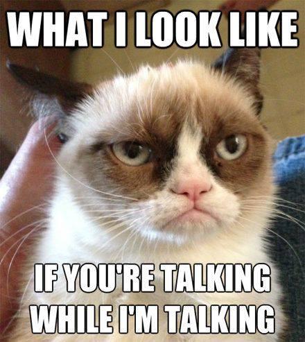 grumpy cat no talking